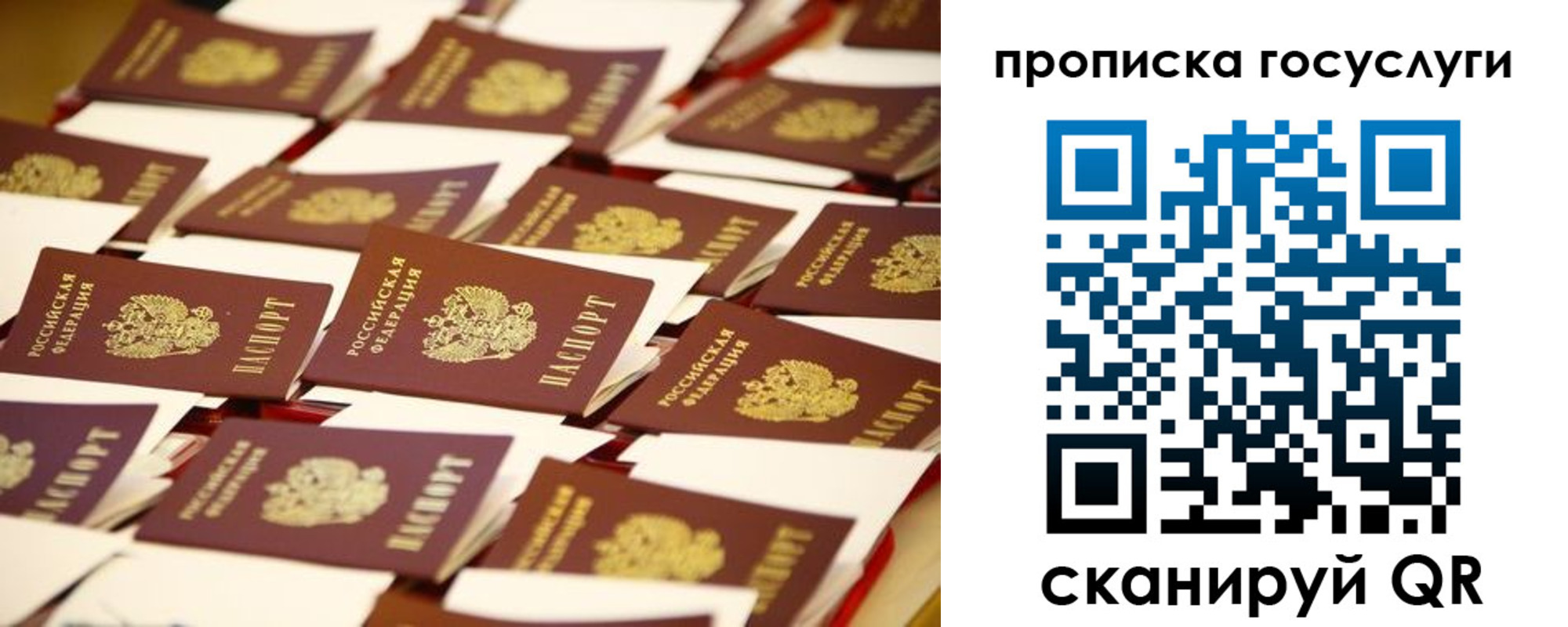 прописка гарантия в Сосновом Бору